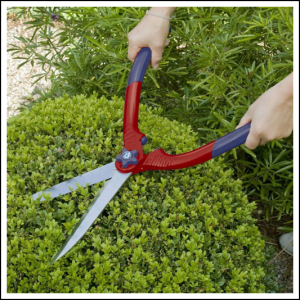 Hedge Shears