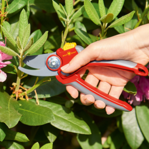 Wolf Garten Secateurs