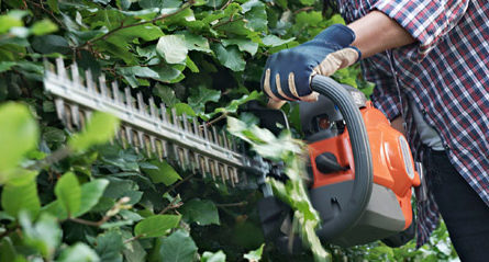 content-banners-garden