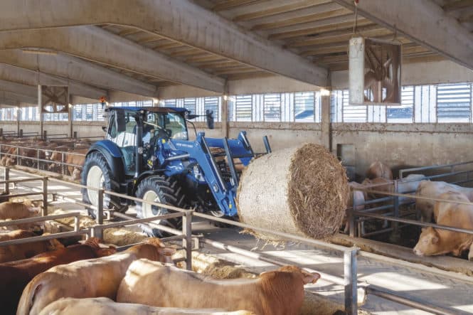 T5_140_DynamicCommand_StageV_19_066