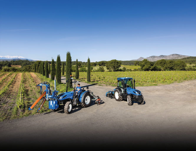 T4_120F_CAB_StageV_22_019.eps