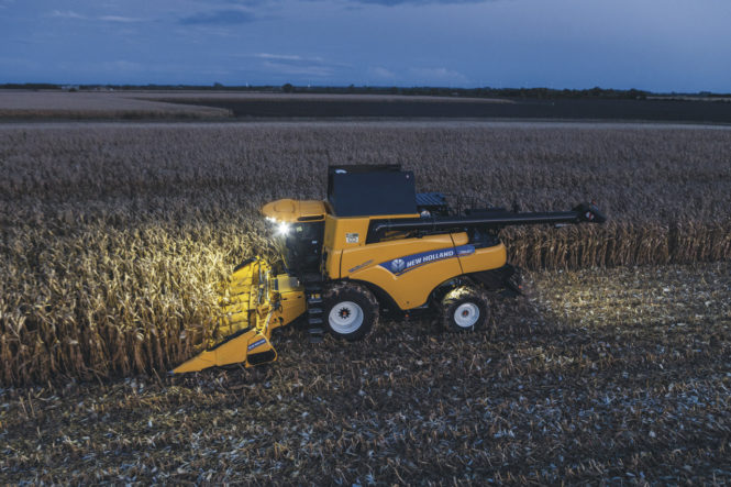 CR8_80_Revelation_StageV_45Years_17_175