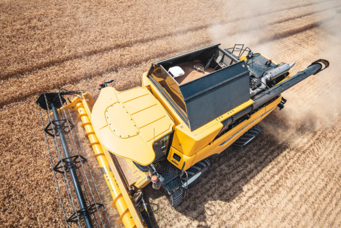 CX8_80_StageV_19_239