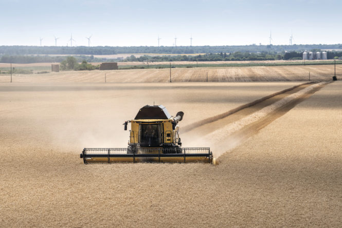 CX8_80_StageV_19_106