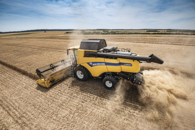 CX8_80_StageV_19_235