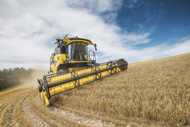 CH7_70_Laterale_StageV_20_001