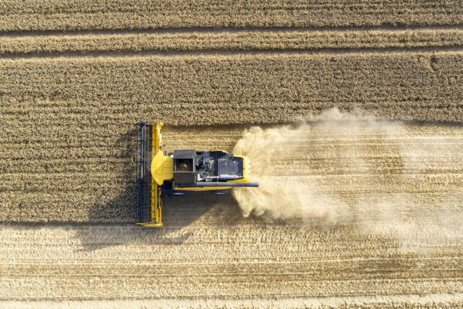 CH7_70_StageV_20_146