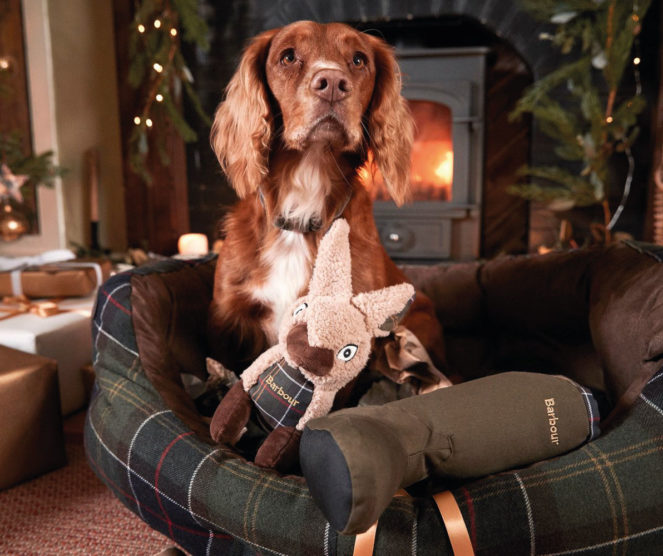 hero-image-1192x1000