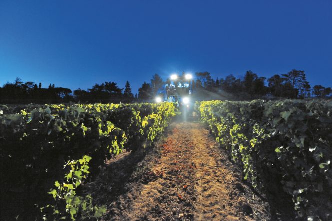 New Holland Braud 9090X Grape Harvester