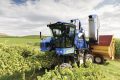 New Holland Braud 9090X Grape Harvester