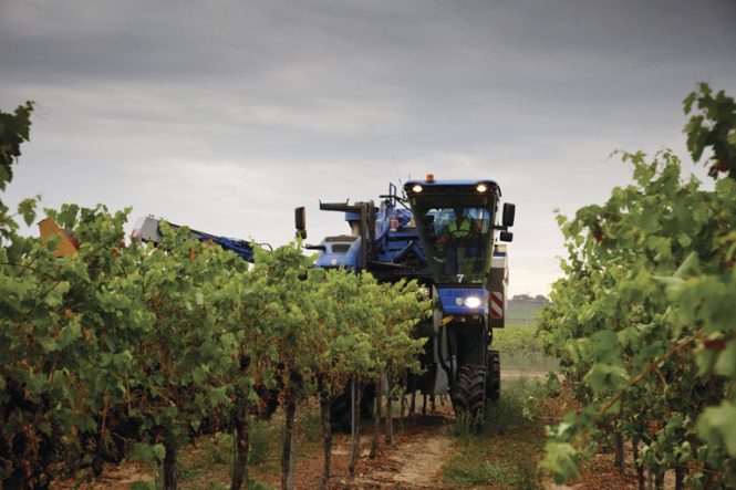 New Holland Braud 9090X Grape Harvester