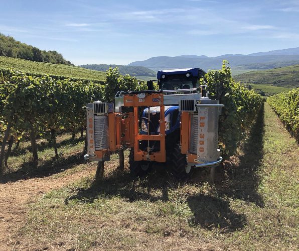 Provitis Defoliators and inter row weeders