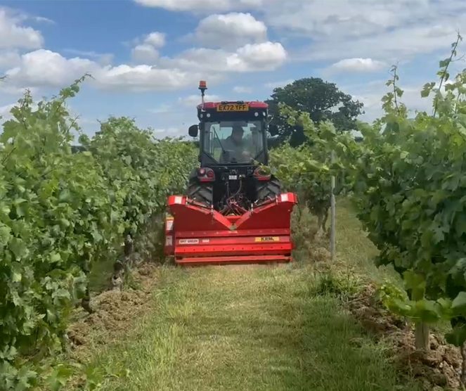 Grow Your Vineyard with KRM Fruit Vine Spreaders Fruit and Vine Spreader Ernest Doe