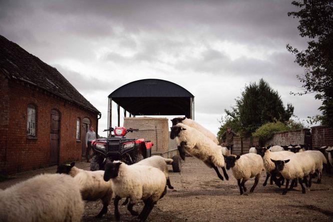 1419-54195_20ym_trx520_lifestyle_5752_original