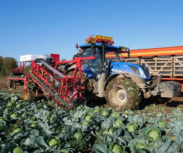 Ernest Doe Specialist Vegetable Machinery Verhoest