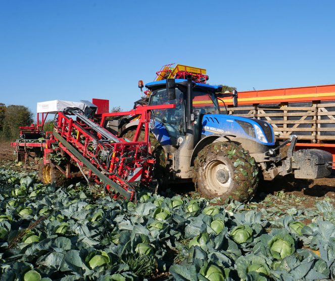 Ernest Doe Specialist Vegetable Machinery Verhoest