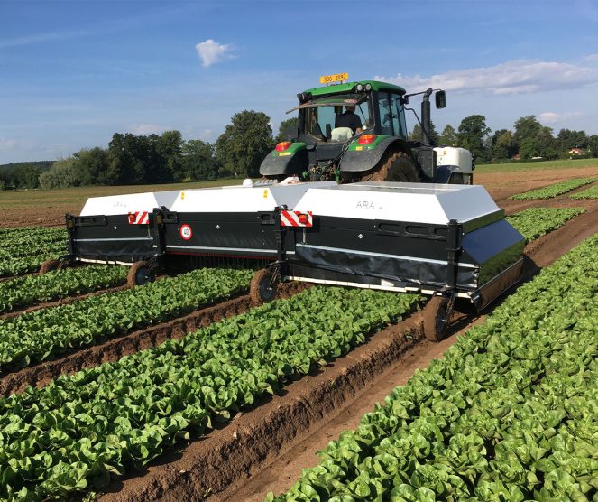 Ernest Doe Specialist Vegetable Machinery Ecorobotix