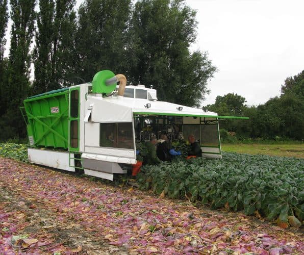 Ernest Doe Specialist Vegetable Machinery Tumoba