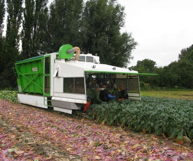 Ernest Doe Specialist Vegetable Machinery Tumoba