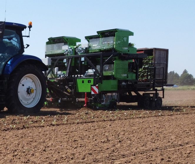 Ernest Doe Specialist Vegetable Machinery AgriPlanter