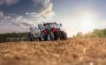 Farmall-C-In-field