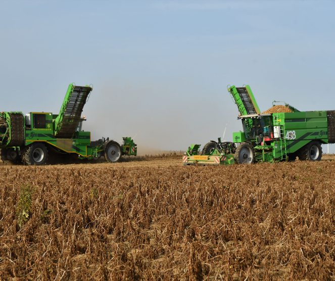 AVR Puma 4.0 Potato Harvester