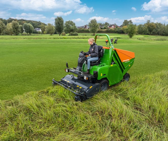 Amazone at Ernest Doe