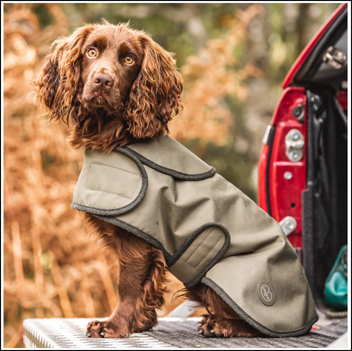 Pet Products & Dog Beds Ernest Doe