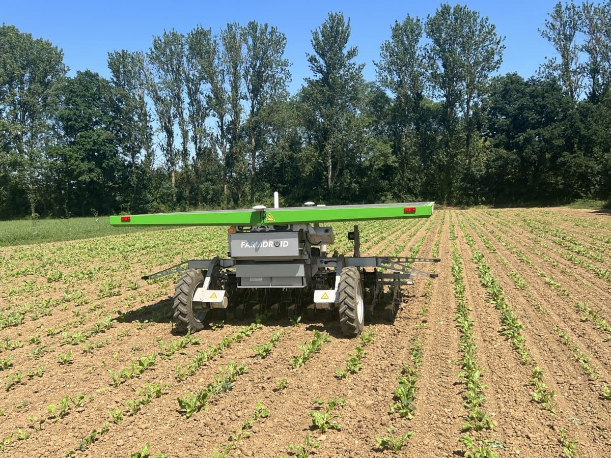 Ernest Doe & Sons' Quasquicentennial celebrating 125 years of service Ernest Doe